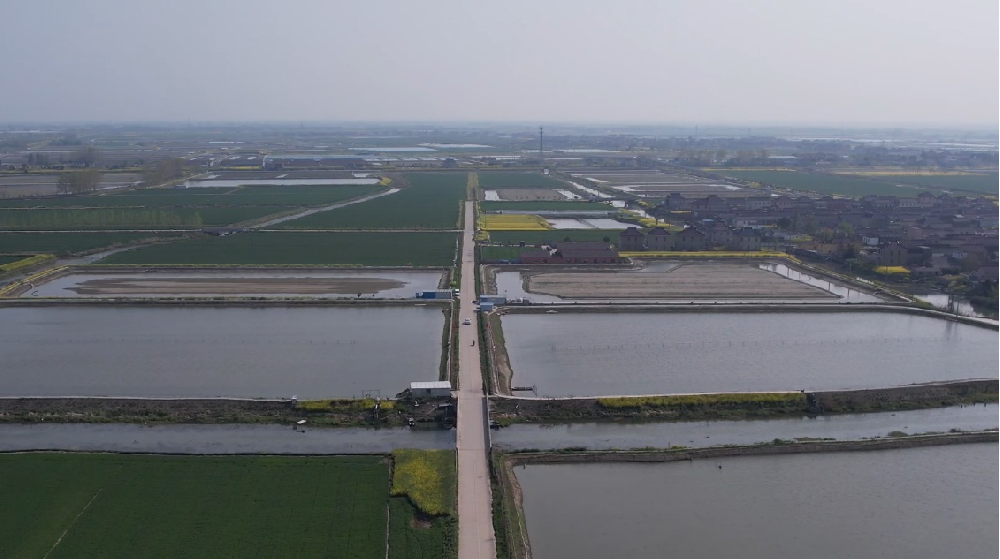 2025媒体管家:运满满助力“农村公路+产业” 铺就乡村振兴“快车道”