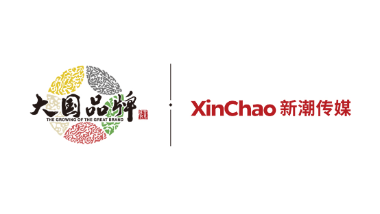 CCTV-1《大国品牌》特邀新潮传媒，解密梯媒如何建立品牌与家庭的互联