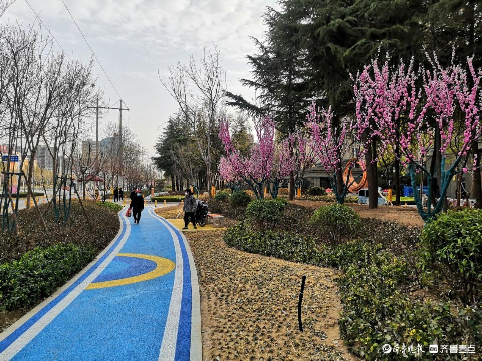 滕州市围绕“小切口”服务“大民生” 滕州市围绕“小切口”服务“大民生”