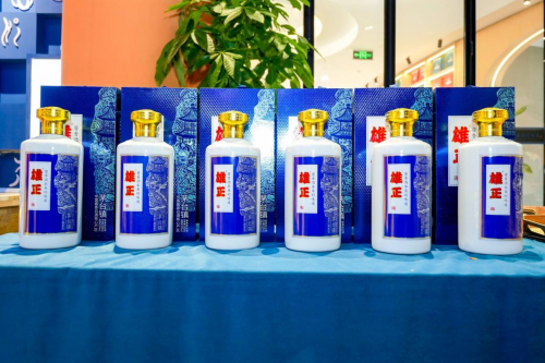 中国定位专家顾均辉出席雄正南京体验馆开业活动，分享战略定位背后的智慧(图3)