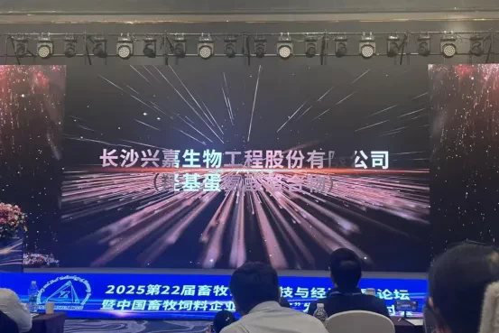 1765265248970859.png 4.png